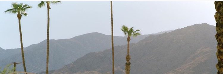 Sydneedaniellee's profile banner image