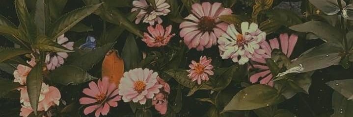 بـسْـمـه . banner