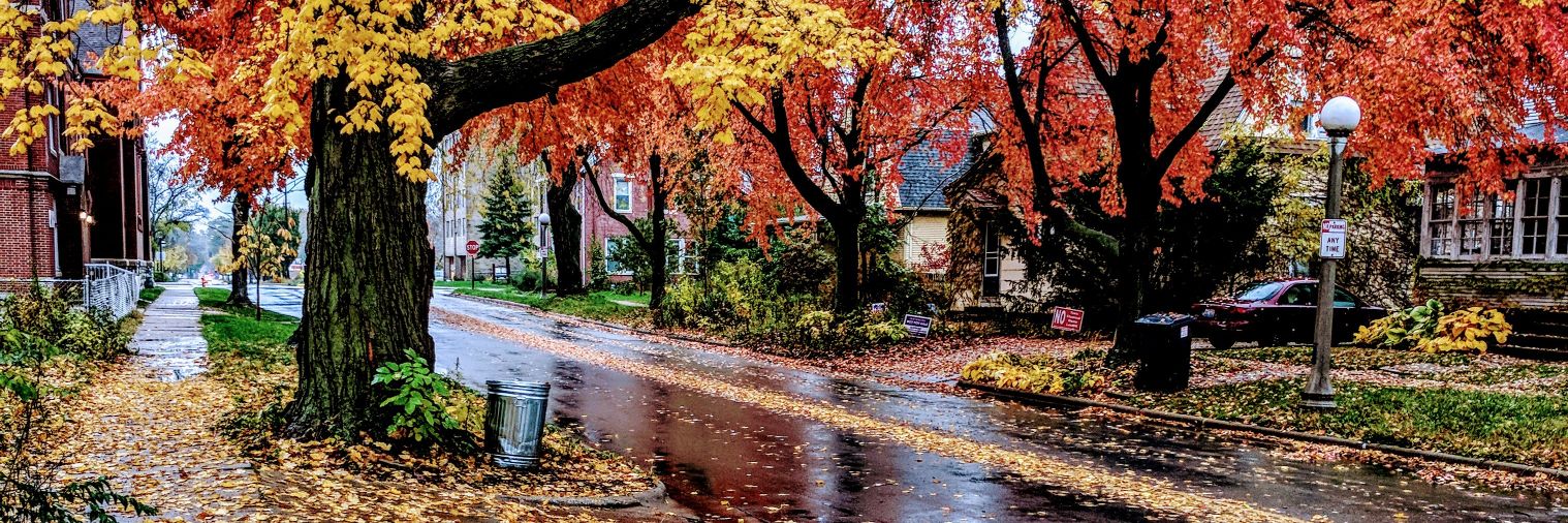 Xavier Durand-Hollis banner