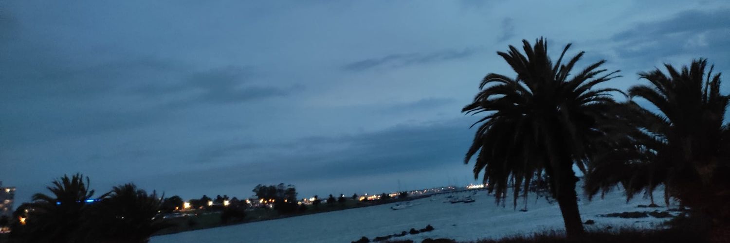 Lu_Macvei's profile banner image