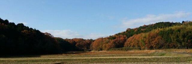 務川 慧悟 Keigo MUKAWA banner