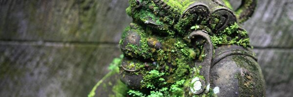 sumitngupta Profile Banner