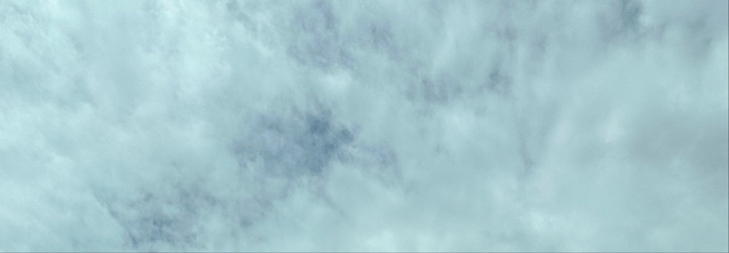 BidhataD's profile banner image
