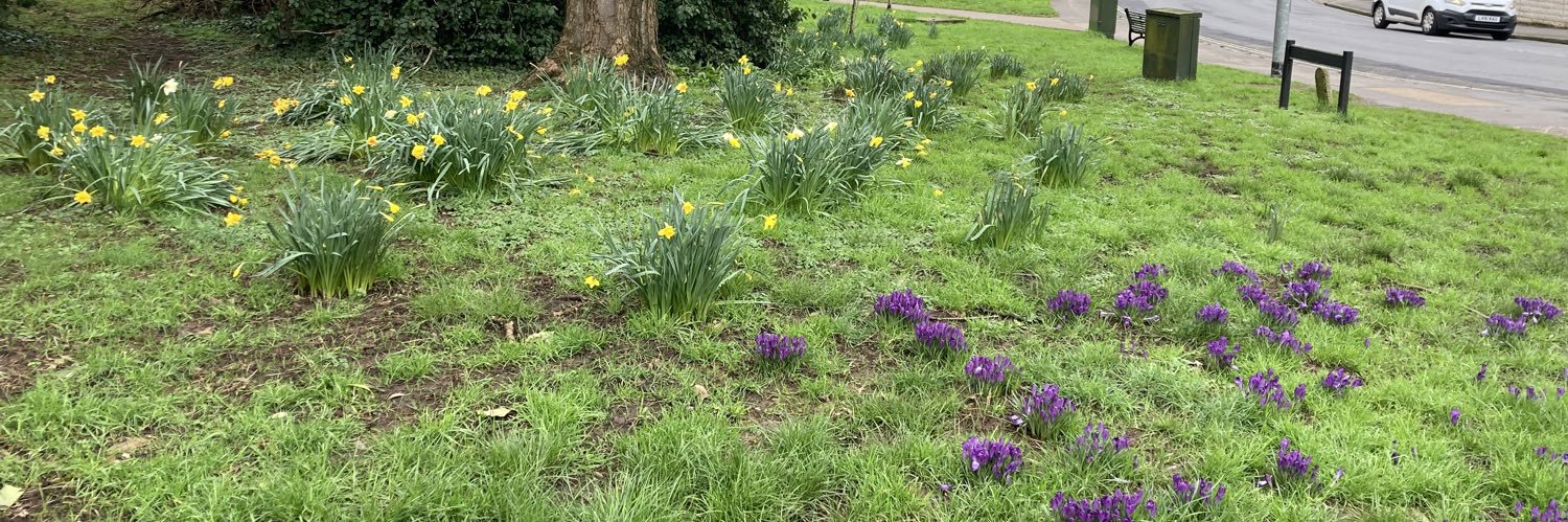 Amanda Cameron banner