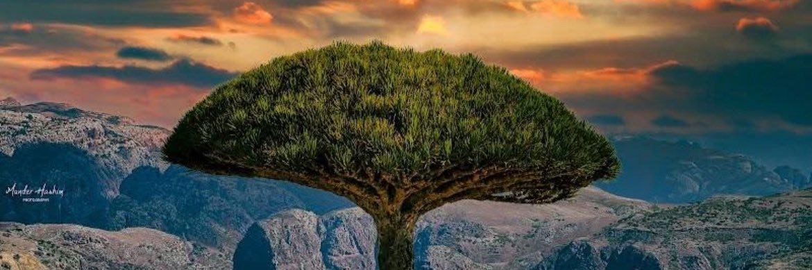 DrAlbadani's profile banner image