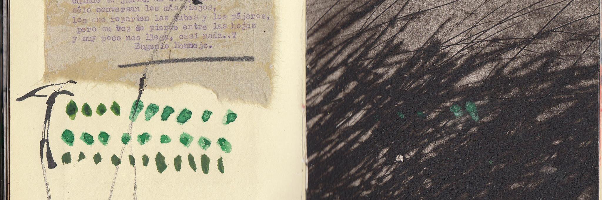 Sofía Crespo Madrid banner