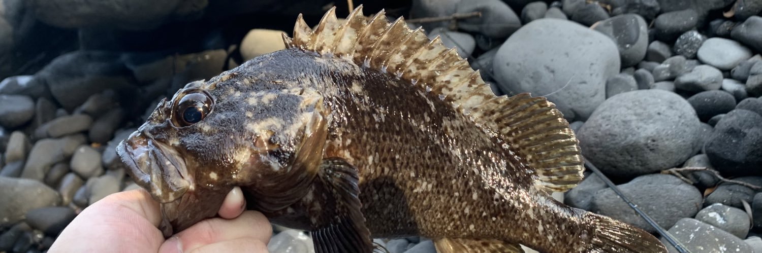 安藤 しずおかAL330/JS2LLQ banner