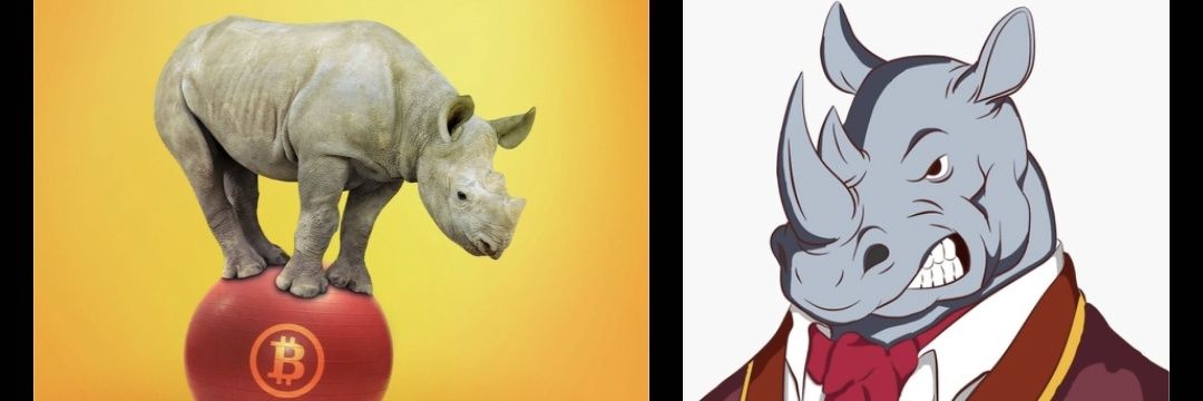 Rhino44d's profile banner image