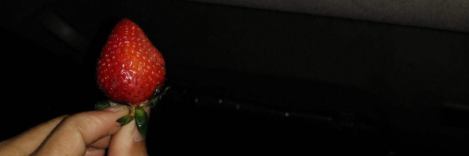 grazynadya's profile banner image