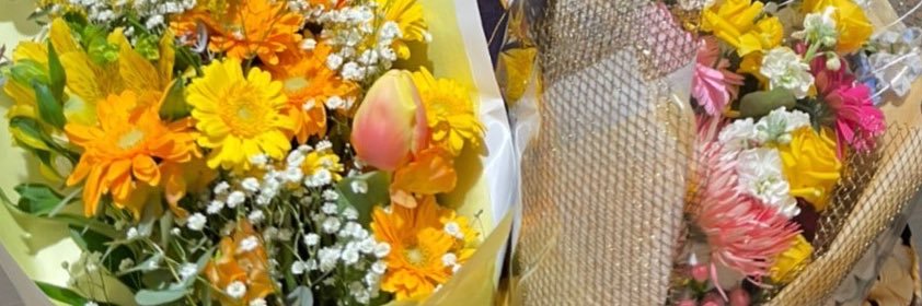 hipao's profile banner image