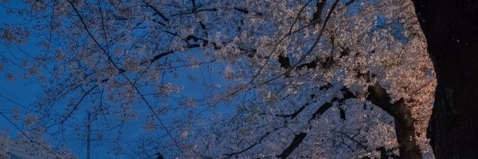 Simonji11's profile banner image