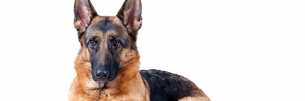 pononline Profile Banner