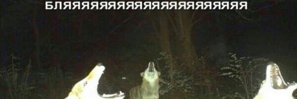 _alm0st_dead_'s profile banner image