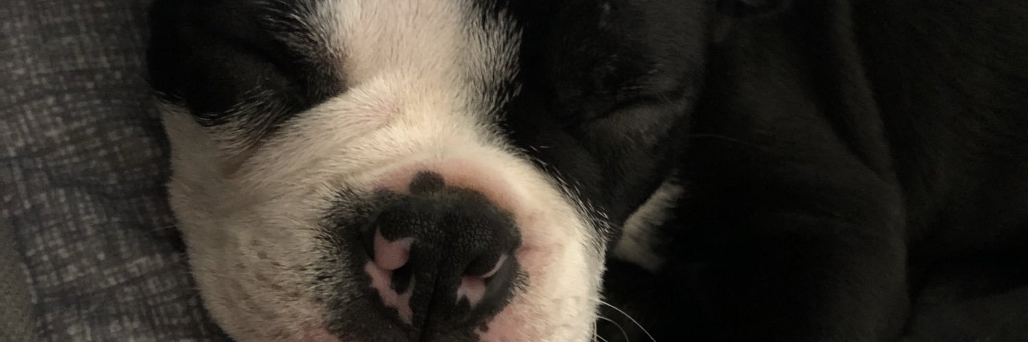 dddavidp's profile banner image