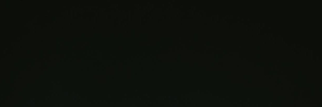 hannah, choi. banner
