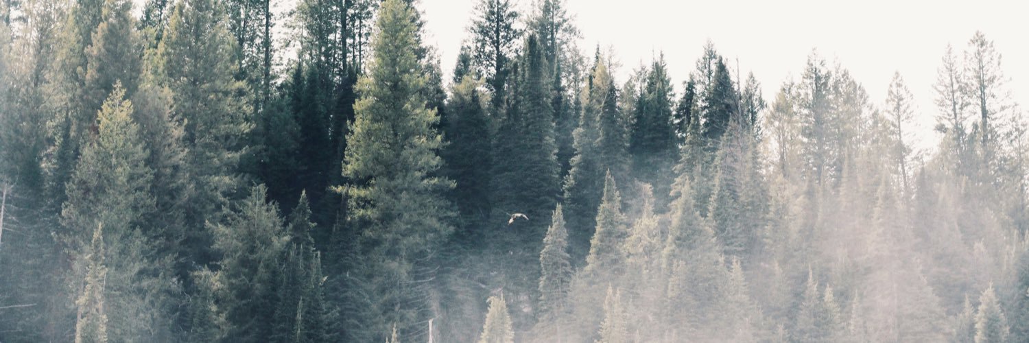 hannahleav's profile banner image