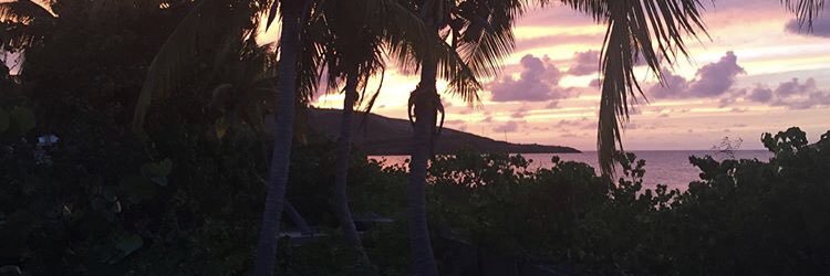 Allegedly Me banner