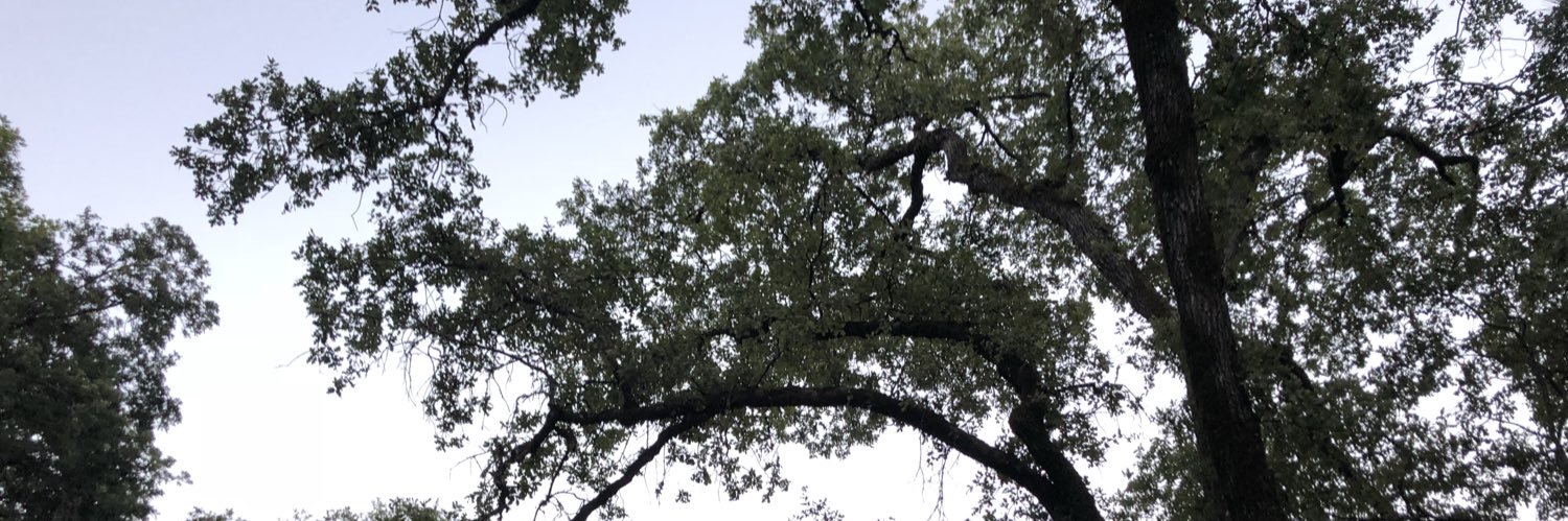 DOsbornMills's profile banner image