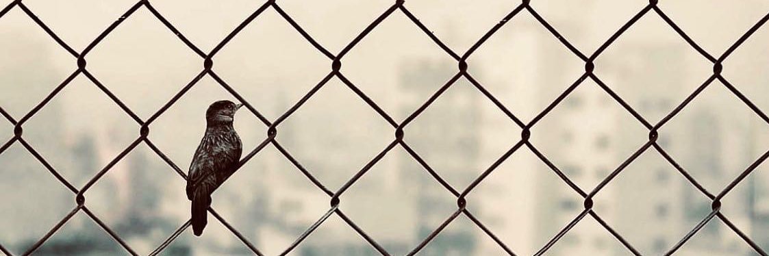 Endrikee's profile banner image