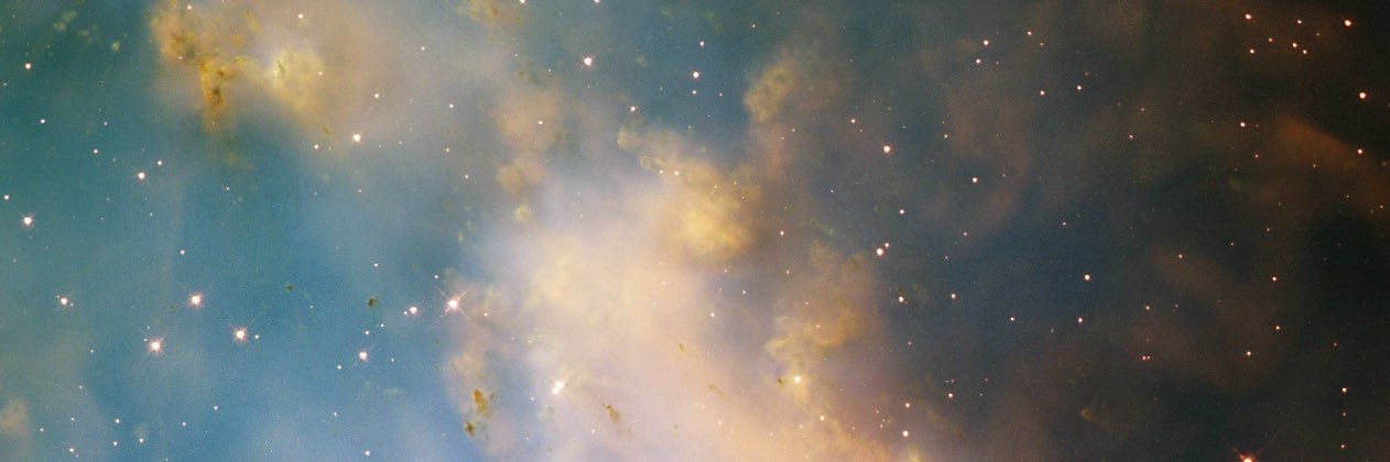 AliviaDelGatto's profile banner image