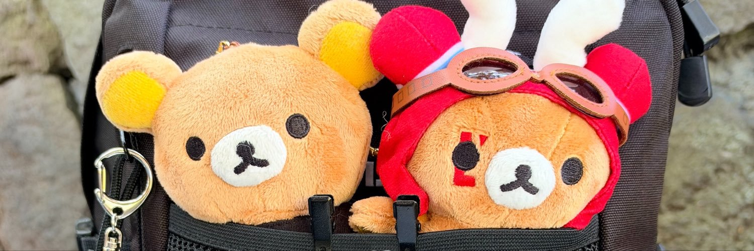 ginpurin's profile banner image
