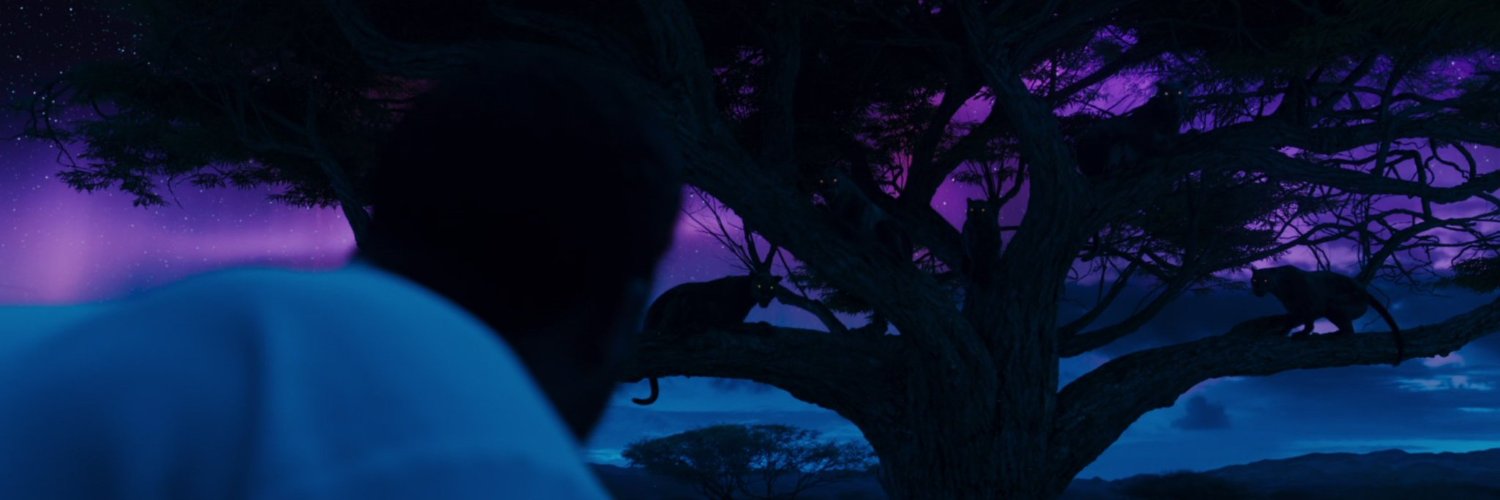 ysy_15's profile banner image