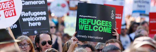 Caterina Franchi banner