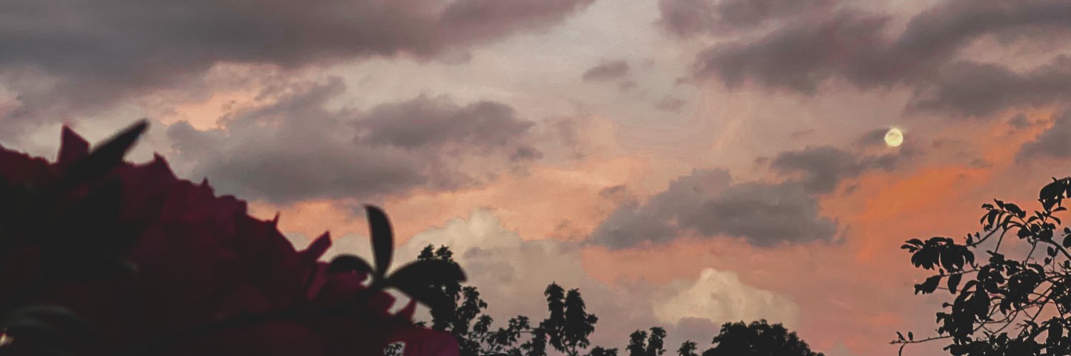 lancyyfancyy's profile banner image