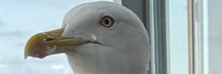 midnight4935's profile banner image