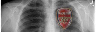 PROMEKING 🦁 banner