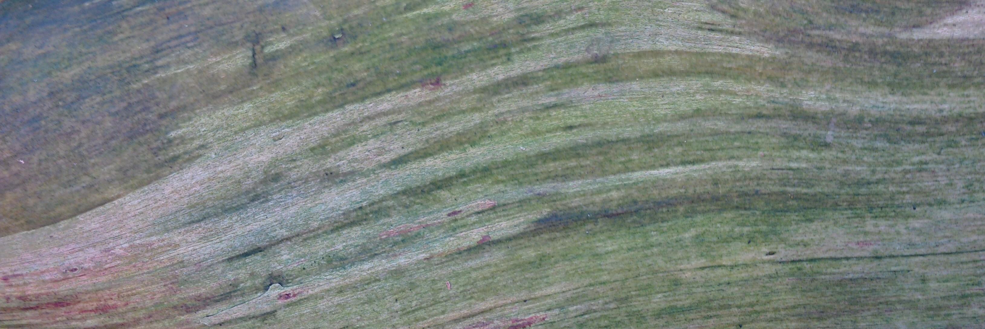 PatrickTekent's profile banner image