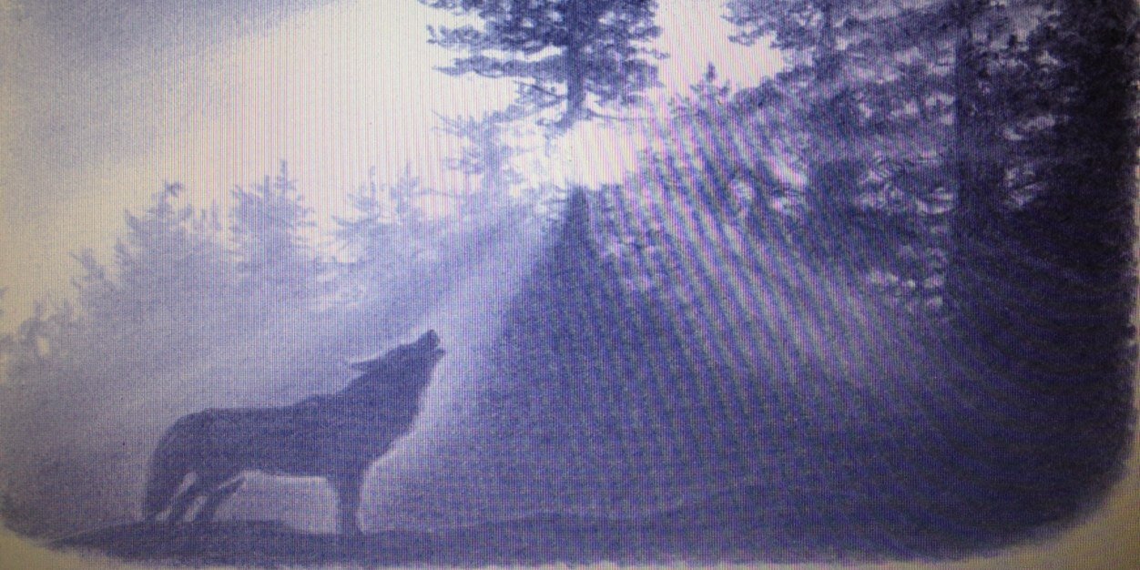 THSseniorclass's profile banner image