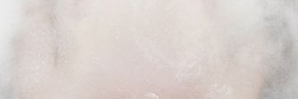 Hogduyn___ banner