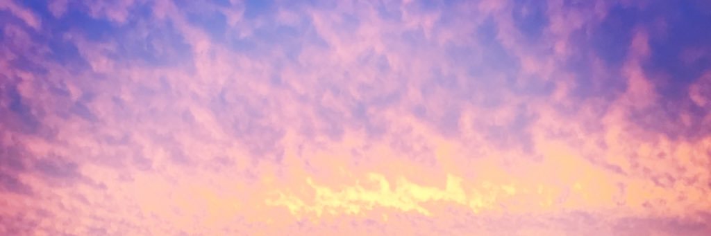carolinekwagner's profile banner image