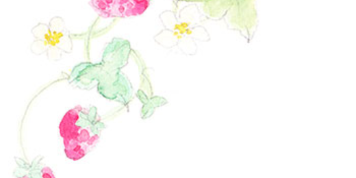 meitanman's profile banner image