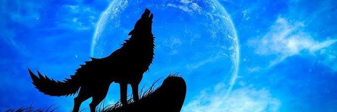 soeu_evc's profile banner image
