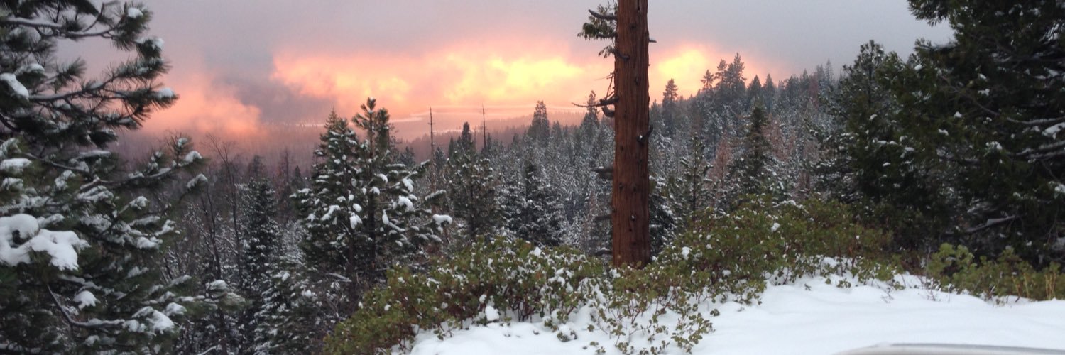 sAssQuatchN8's profile banner image