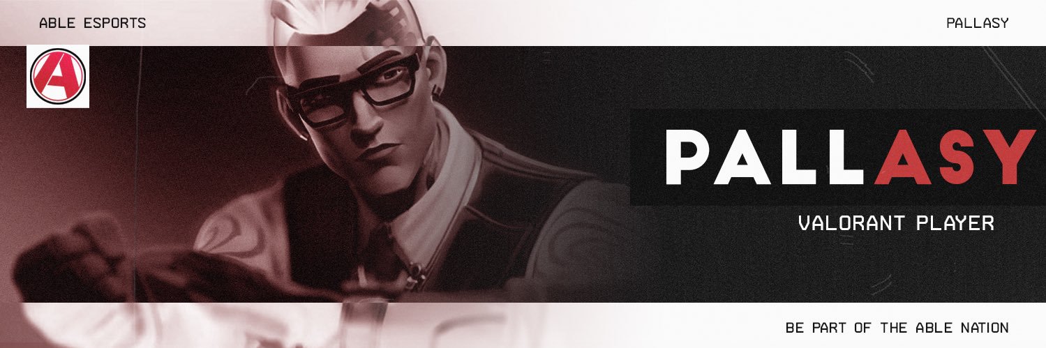 Pallasy banner