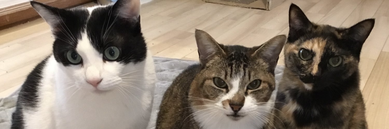monimonimony's profile banner image