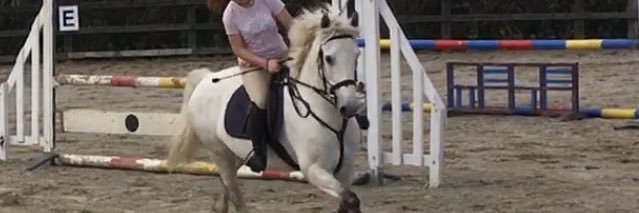 Isabel Kingston banner