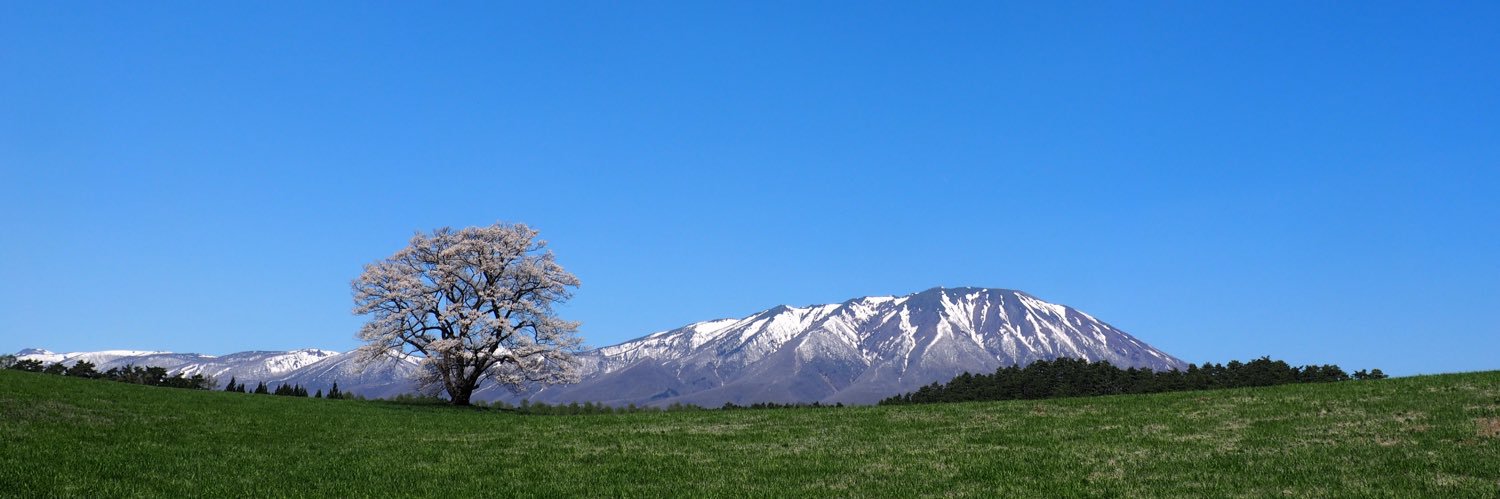 mtoisan's profile banner image