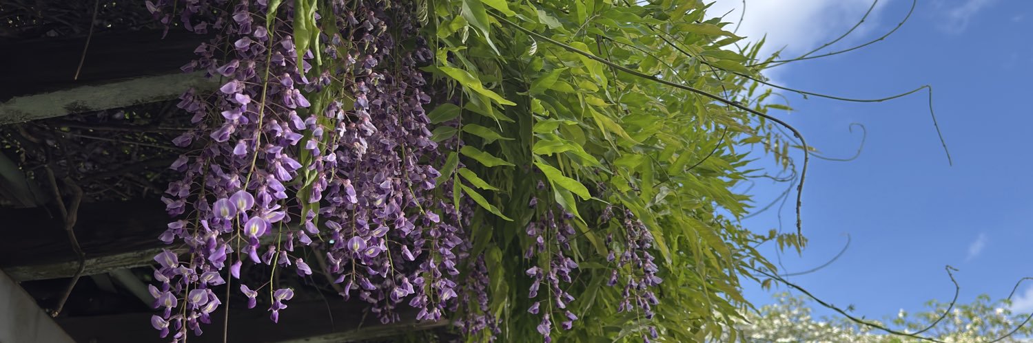 富田睦子🚪👿 banner