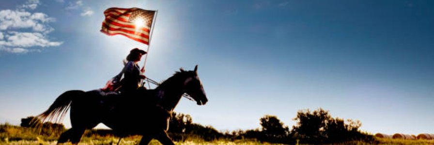 🇺🇸nicki🇺🇸 banner