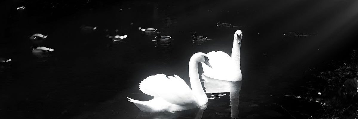 ﾒ banner