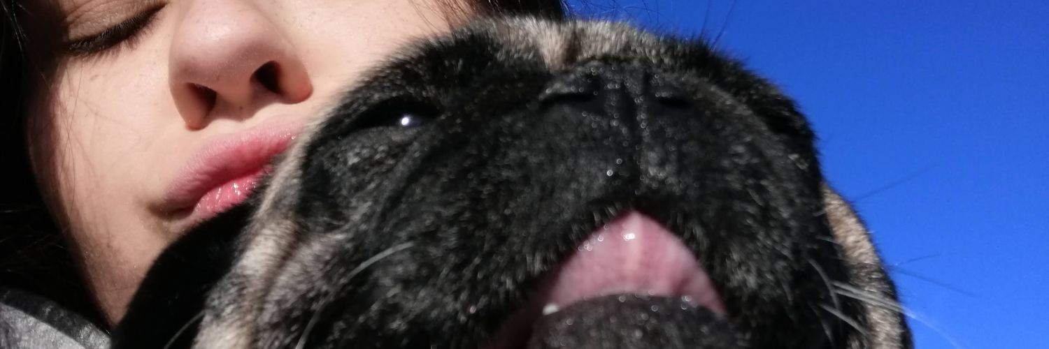 Inesrfo's profile banner image