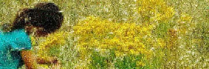 ester_mula's profile banner image
