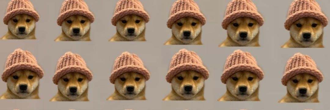 Dog Wif Hat Gang banner