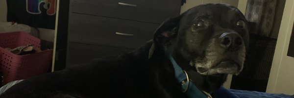 EmOffic Profile Banner