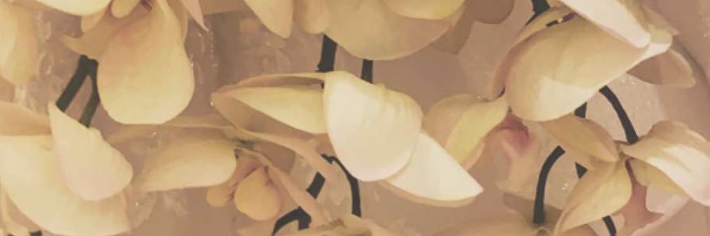 samar_saaad's profile banner image