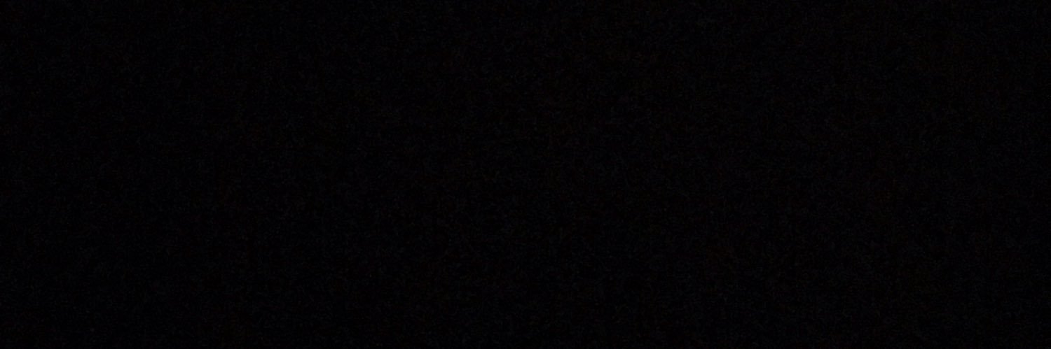 forsgrenerika's profile banner image